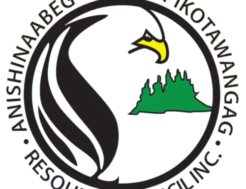 Seasonal Walleye Closure in Effect