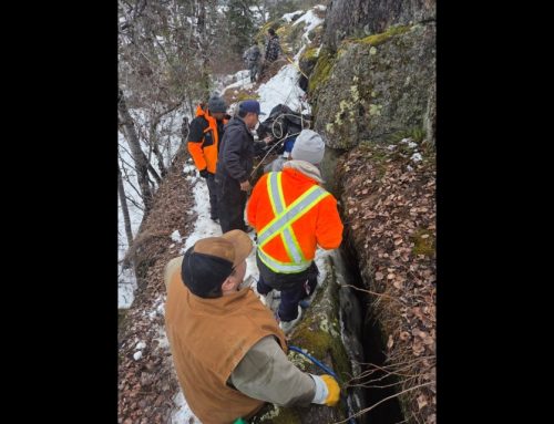 Community Unites to Try to Save Former Chief’s Dog